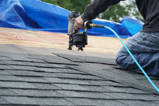 Best Metal Roofing Installation  in Roanoke, IL