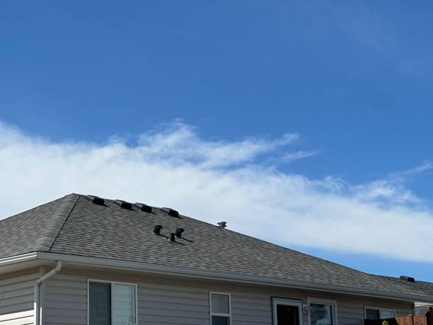 Best Metal Roofing Installation  in Roanoke, IL
